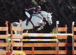 Grand Prix Show Jumping Horses For Sale